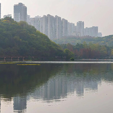 重庆桃花溪市政建设有限公司拟转让股权资产评估项目