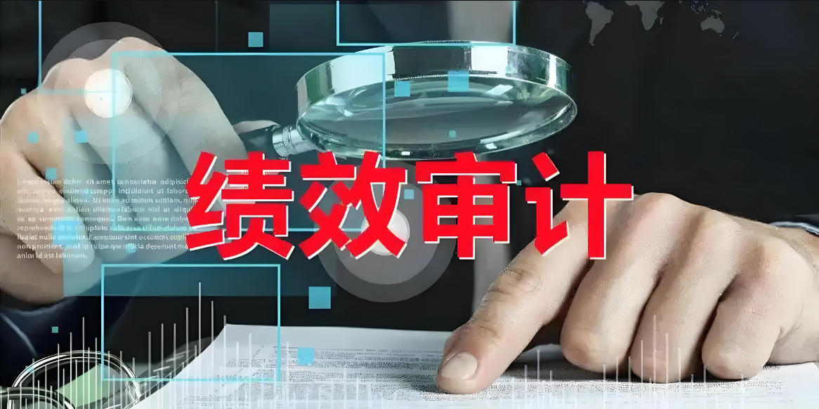 为每一分钱负责：走进绩效审计的台前幕后